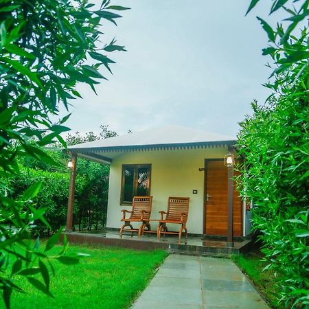 Dream Resort 부지 외부 사진