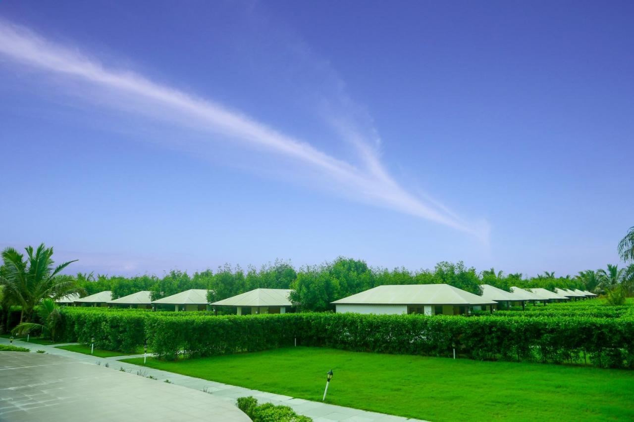 Dream Resort 부지 외부 사진